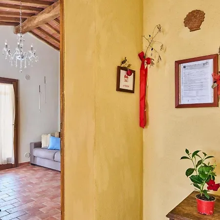 Il Passo Degli Ulivi *
